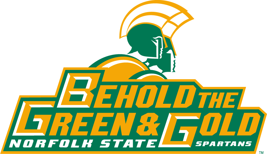 Norfolk State Spartans 1999-Pres Wordmark Logo diy iron on heat transfer